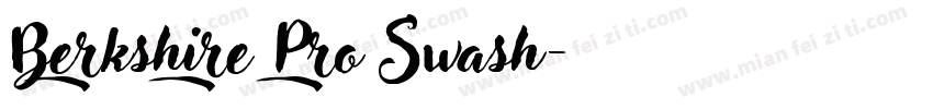Berkshire Pro Swash字体转换